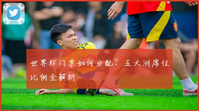 世界杯门票如何分配？五大洲席位比例全解析