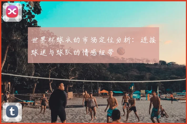世界杯球衣的市场定位分析：连接球迷与球队的情感纽带