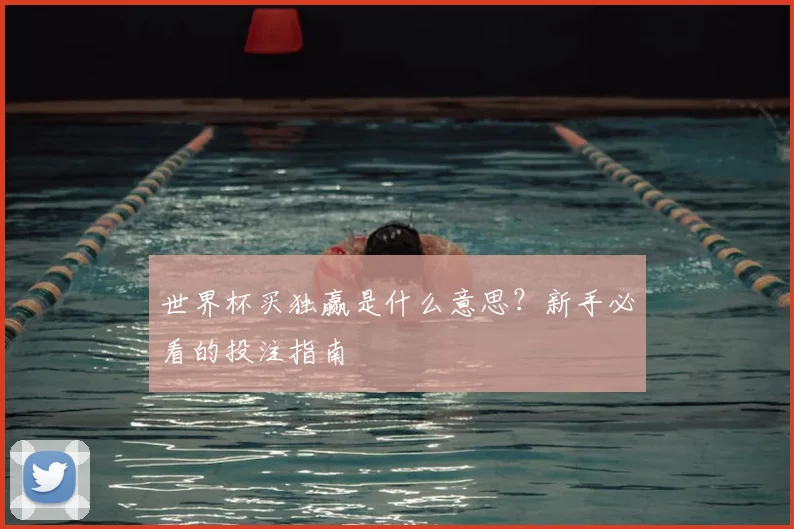 世界杯买独赢是什么意思？新手必看的投注指南