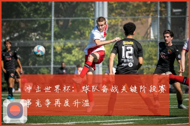 冲击世界杯：球队备战关键阶段赛事竞争再度升温