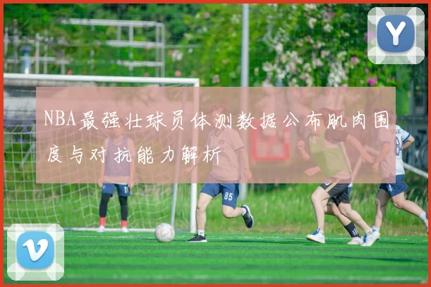 NBA最强壮球员体测数据公布肌肉围度与对抗能力解析