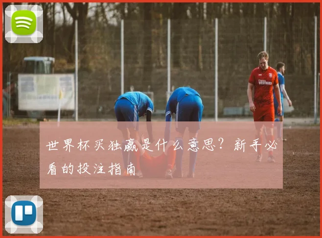 世界杯买独赢是什么意思？新手必看的投注指南