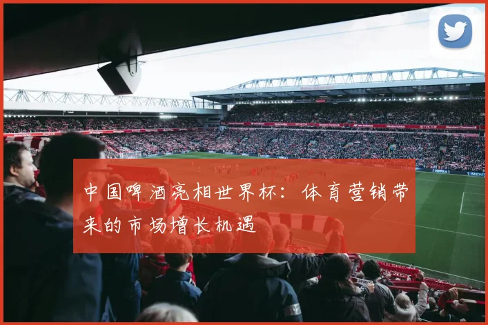 中国啤酒亮相世界杯：体育营销带来的市场增长机遇