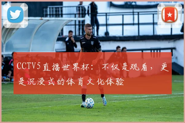 CCTV5直播世界杯：不仅是观看，更是沉浸式的体育文化体验