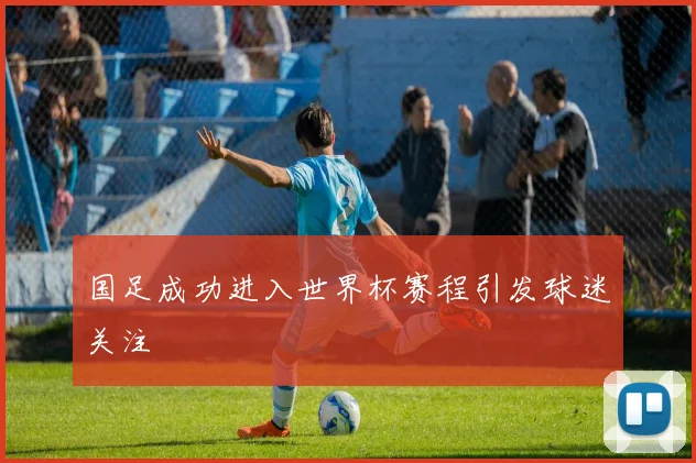 国足成功进入世界杯赛程引发球迷关注