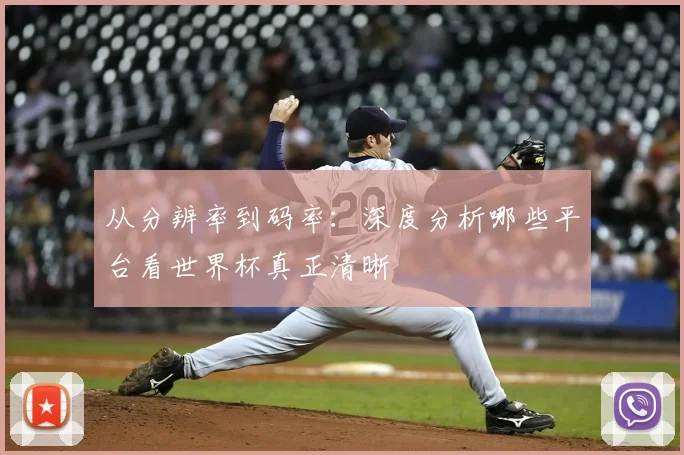 从分辨率到码率：深度分析哪些平台看世界杯真正清晰